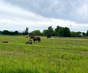 Parcelas en Retiro a 6 km de la ruta 5 sur