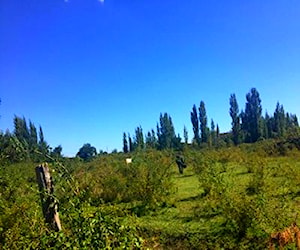 Terreno En Yungay