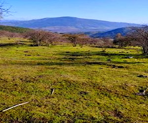 Loteo Altos De Buena Vista