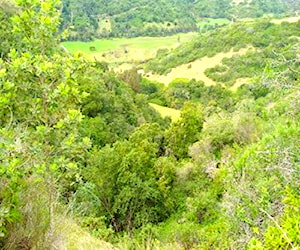 Sitio la pataguilla Localidad de Navidad Liberta