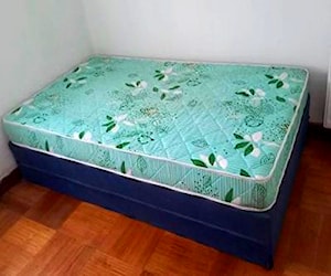 <p>Cama de 1.5 plaza box pring. Base y colchón</p>