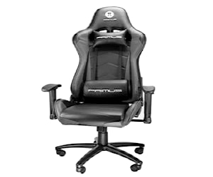 <p>Silla Gamer Primus NUEVA</p>