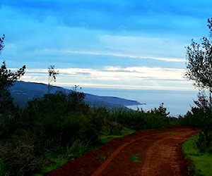 Parcela ecológica de 2 hectáreas en Laguna Verde