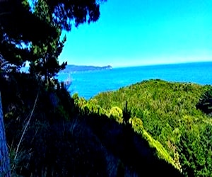 Parcelas vista Panorámica ( orilla camino )