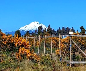 Parcela Puerto Varas