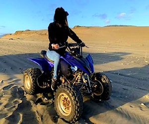 Yamaha raptor 250