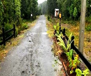 SitioTerreno camino Ensenada Puerto Varas