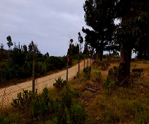 terreno La vega de Pupuya, Navidad