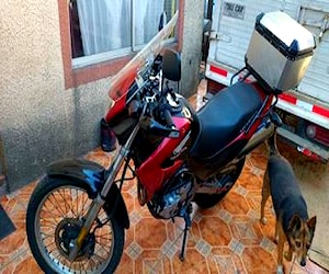 Moto falcón