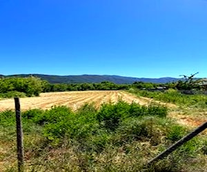 Terreno Rauco, Curicó