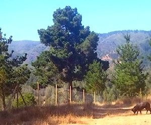 Terreno con casa en Laguna Verde