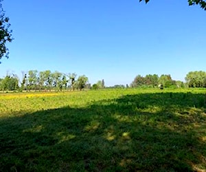 Terreno en Linares, Vara Gruesa