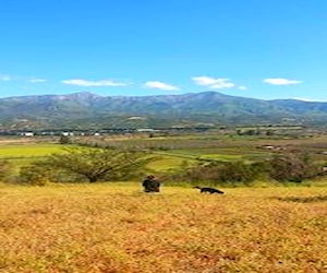 Parcela en Curacaví con la mejor vista al valle