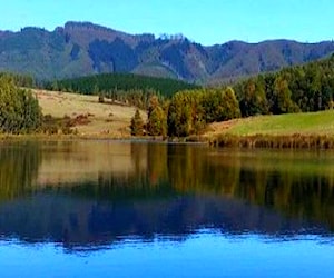 SitioTerreno Pumalal Temuco