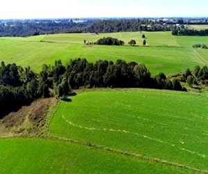 AGRICOLA PARAGUAY CHICO 155,6 HA Los Muermos