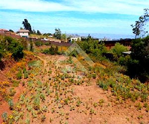 Sitio Los Pinos Reñaca ViñA Del Mar