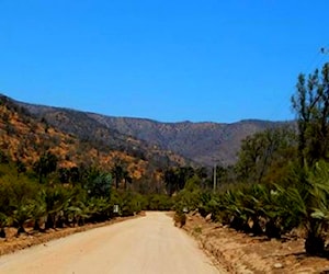 Parcela en Oasis La Campana - Palmas de Ocoa