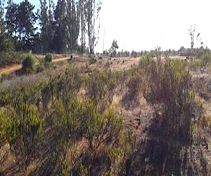 Parcela en Algarrobo, Valparaíso