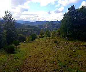 Hermosa Parcela San Juan de La costa 5000 m2