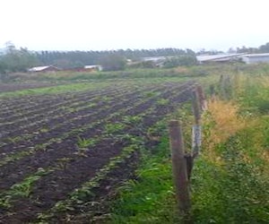 Terreno plano en paine