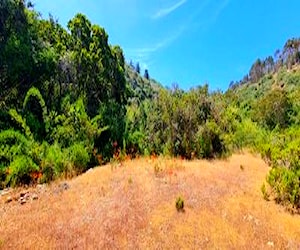 Parcela plana, luz y agua, a 2 km de Mirasol