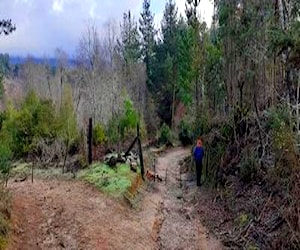 terreno con casa