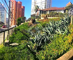 Sitio Las gatas ViñA Del Mar