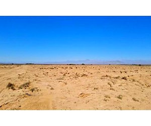 AGRICOLA Canto de Agua - Atacama Freirina