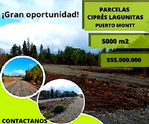 Parcela de 5000m2 en Ciprés lagunitas Puerto Montt