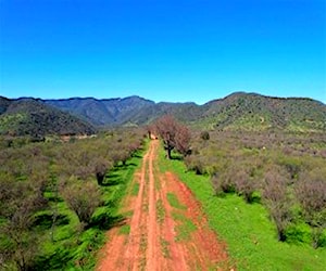 Agricola camino colliguay Quilpué