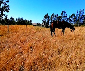 Hermoso terreno apto para parcela