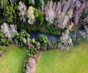 Parcela a 10 minutos del Lago Panguipulli