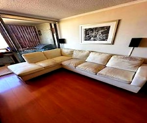 <p>Regalo Sillón seccional</p>