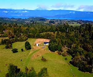 Agricola Puyehue RíO Bueno