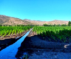 Vendemos parcelas con credito directo Rancagua