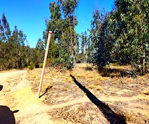 Parcela de Agrado Algarrobo - El Totoral