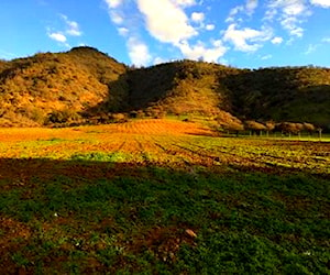 Parcelas Culipran, Melipilla