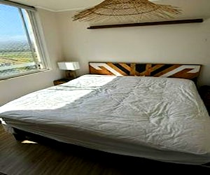 <p>Cama King + Respaldo</p>