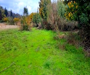 Parcela agrado puente 7 acceso Río