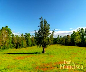 Linda Parcela 5000 m2 Sector Cayumapu