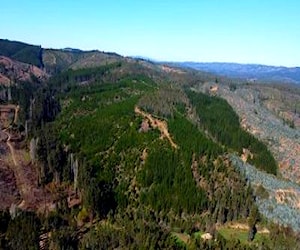 Terreno cordillera de la costa