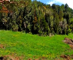 Parcela en Altos de Caulin, Ancud