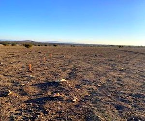 Terreno en campo lindo