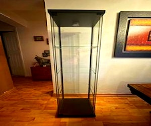 Vitrina de vidrio con puerta magnética y luz