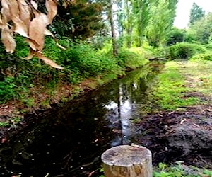 Parcela con canal de regadío