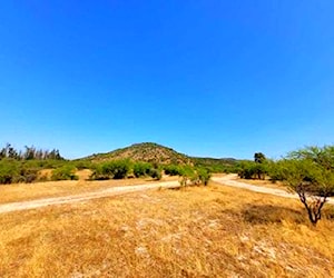 Terreno 3Ha Pichidegua, Patagua Cerro, Ruta Fruta