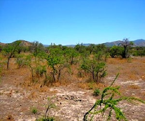 Cuatro hectareas semi plano en cerro melipilla