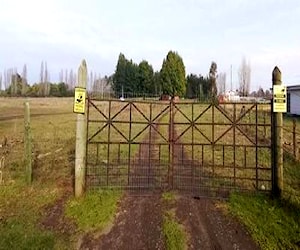 Se Vende una parcela de una hectárea con casa