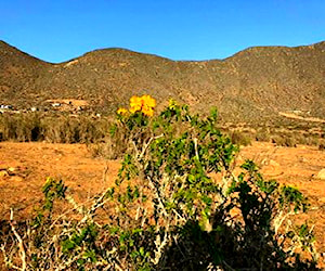 Terrenos en la Serena