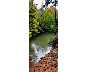 SITIO Puente 7. interior camino a Roa - Cam&#8230;